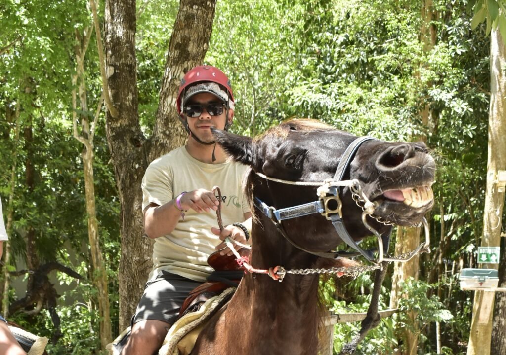 Copia de CC_DSC0011